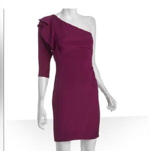 Diane Von Furstenberg Berry silk “cobb” Dress
